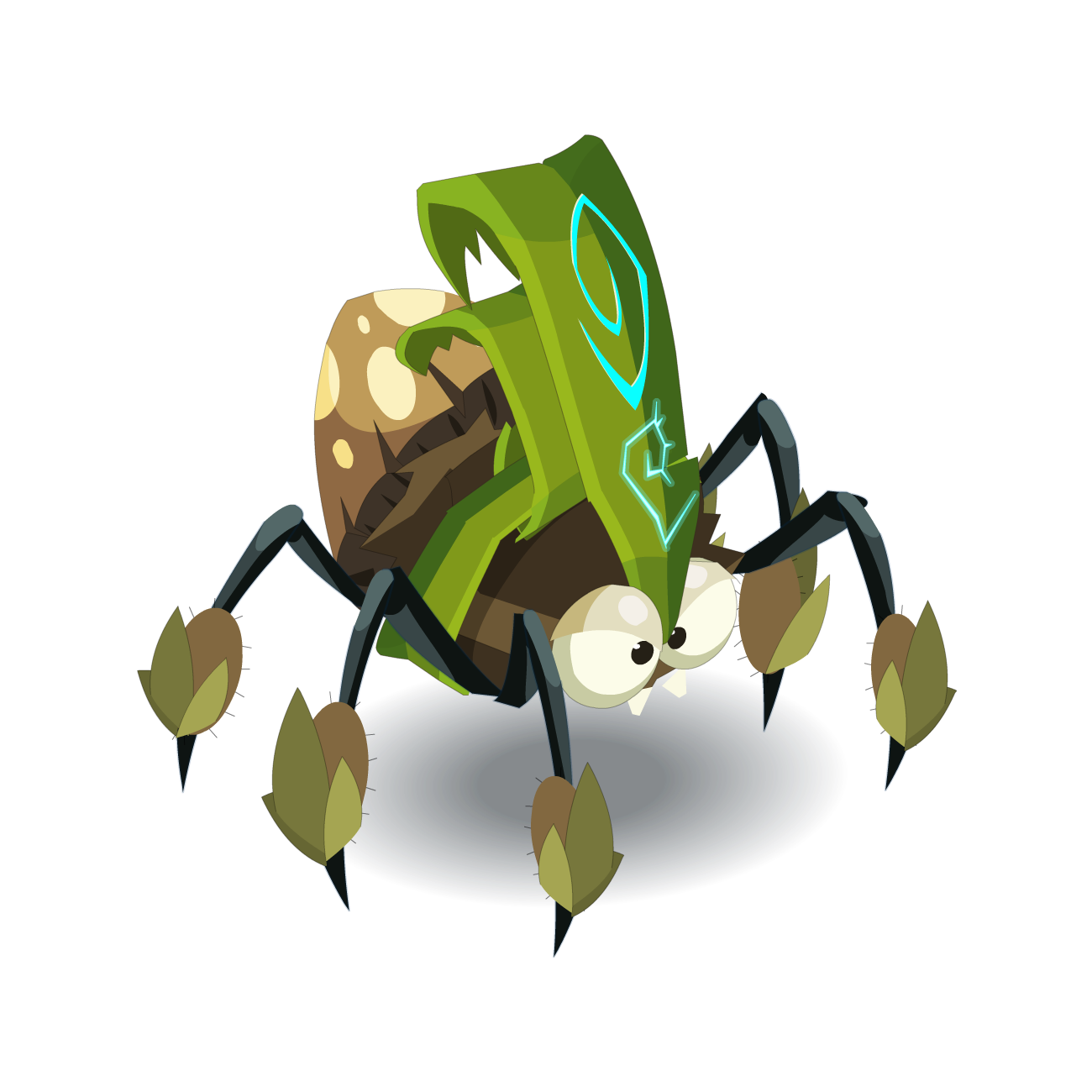 Korriandre