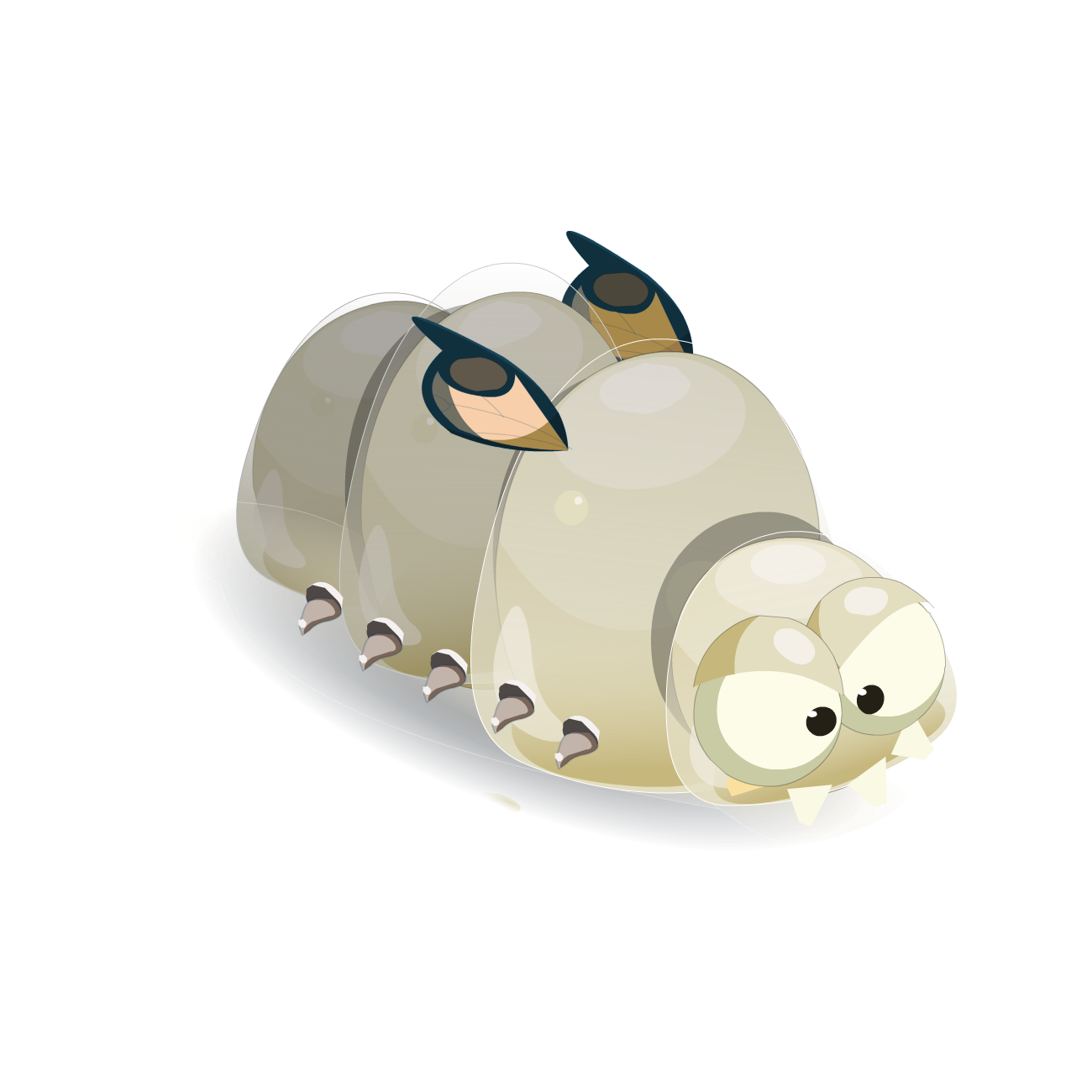 Shin Larve